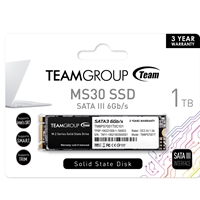 Team MS30 1TB M.2 Sata (TM8PS7001T0C101) 1TB, M.2 Sata Interface, PCIe Gen3, Read 530MB/s, Write 480MB/s, 3 Year Warranty