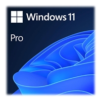 Microsoft Windows 11 Pro 64bit All Language ESD